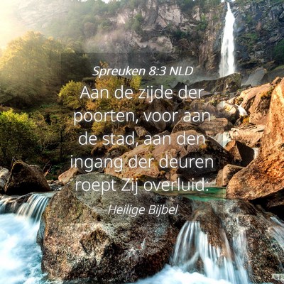 Picture 04 - Spreuken 8:3 NLD - Aan de zijde der poorten, voor aan de stad, aan - Bible Verse Picture
