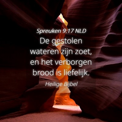 Picture 04 - Spreuken 9:17 NLD - De gestolen wateren zijn zoet, en het verborgen - Bible Verse Picture