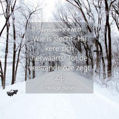 Picture 04 - Spreuken 9:4 NLD - Wie is slecht? Hij kere zich herwaarts! Tot de - Bible Verse Picture