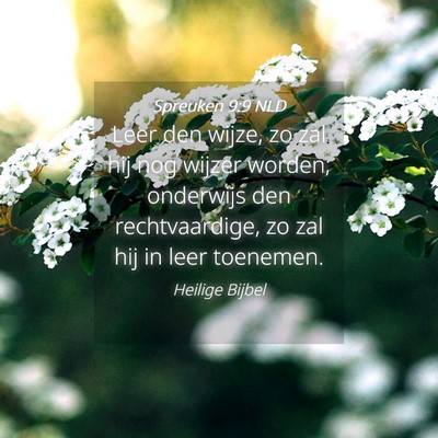 Picture 04 - Spreuken 9:9 NLD - Leer den wijze, zo zal hij nog wijzer worden; - Bible Verse Picture