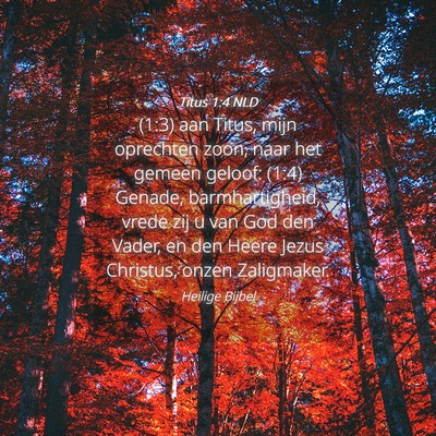 Picture 04 - Titus 1:4 NLD - (1:3) aan Titus, mijn oprechten zoon, naar het - Bible Verse Picture