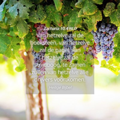 Picture 04 - Zacharia 10:4 NLD - Van hetzelve zal de hoeksteen, van hetzelve zal - Bible Verse Picture