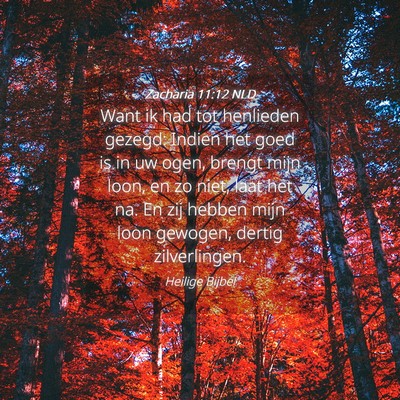 Picture 04 - Zacharia 11:12 NLD - Want ik had tot henlieden gezegd: Indien het goed - Bible Verse Picture