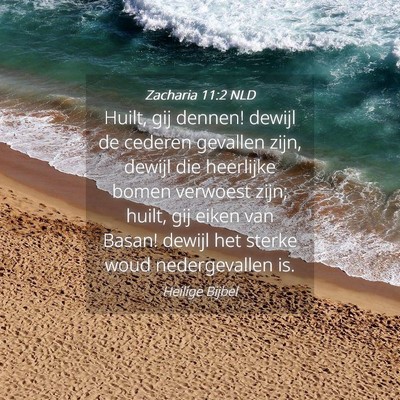 Picture 04 - Zacharia 11:2 NLD - Huilt, gij dennen! dewijl de cederen gevallen - Bible Verse Picture