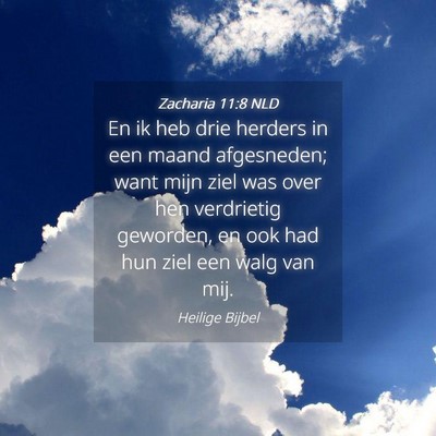 Picture 04 - Zacharia 11:8 NLD - En ik heb drie herders in een maand afgesneden; - Bible Verse Picture