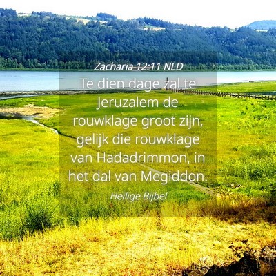 Picture 04 - Zacharia 12:11 NLD - Te dien dage zal te Jeruzalem de rouwklage groot - Bible Verse Picture