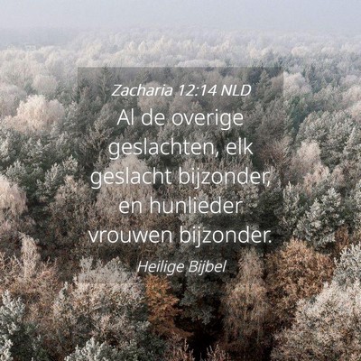 Picture 04 - Zacharia 12:14 NLD - Al de overige geslachten, elk geslacht bijzonder, - Bible Verse Picture