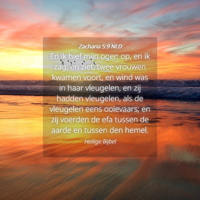 Picture 04 - Zacharia 5:9 NLD - En ik hief mijn ogen op, en ik zag; en ziet, twee - Bible Verse Picture