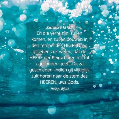 Picture 04 - Zacharia 6:15 NLD - En die verre zijn, zullen komen, en zullen bouwen - Bible Verse Picture
