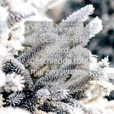 Picture 04 - Zacharia 6:9 NLD - En des HEEREN woord geschiedde tot mij, - Bible Verse Picture