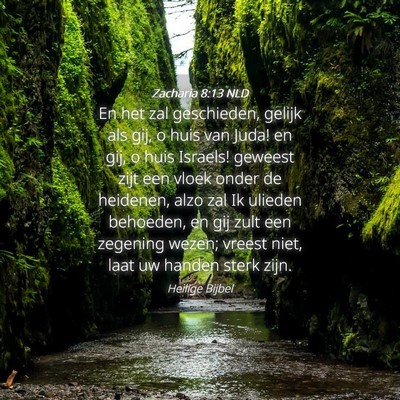 Picture 04 - Zacharia 8:13 NLD - En het zal geschieden, gelijk als gij, o huis van - Bible Verse Picture