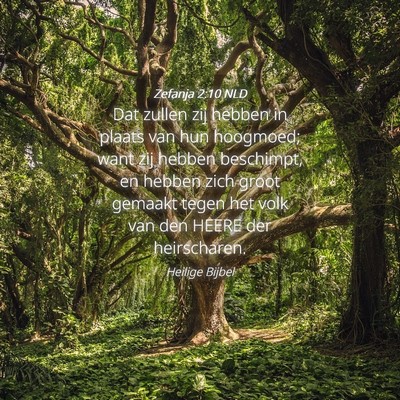 Picture 04 - Zefanja 2:10 NLD - Dat zullen zij hebben in plaats van hun hoogmoed; - Bible Verse Picture