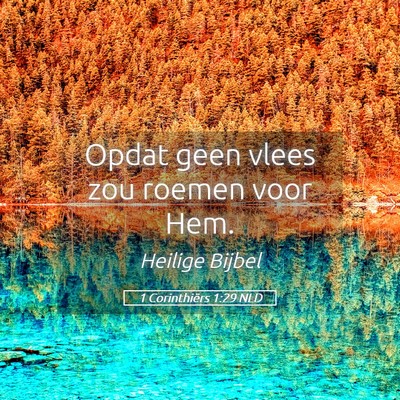 Picture 05 - 1 Corinthiërs 1:29 NLD - Opdat geen vlees zou roemen voor - Bible Verse Picture