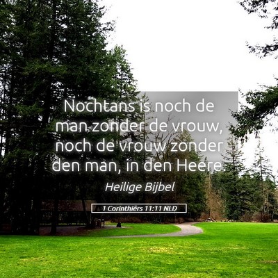 Picture 05 - 1 Corinthiërs 11:11 NLD - Nochtans is noch de man zonder de vrouw, noch de - Bible Verse Picture