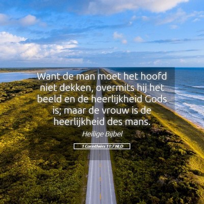 Picture 05 - 1 Corinthiërs 11:7 NLD - Want de man moet het hoofd niet dekken, overmits - Bible Verse Picture