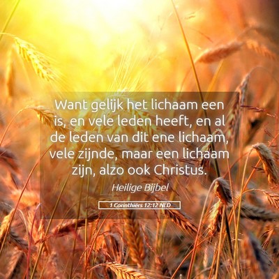 Picture 05 - 1 Corinthiërs 12:12 NLD - Want gelijk het lichaam een is, en vele leden - Bible Verse Picture