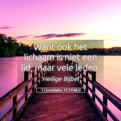 Picture 05 - 1 Corinthiërs 12:14 NLD - Want ook het lichaam is niet een lid, maar vele - Bible Verse Picture