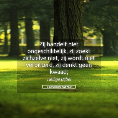 Picture 05 - 1 Corinthiërs 13:5 NLD - Zij handelt niet ongeschiktelijk, zij zoekt - Bible Verse Picture