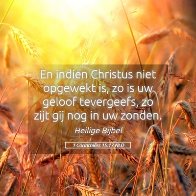 Picture 05 - 1 Corinthiërs 15:17 NLD - En indien Christus niet opgewekt is, zo is uw - Bible Verse Picture
