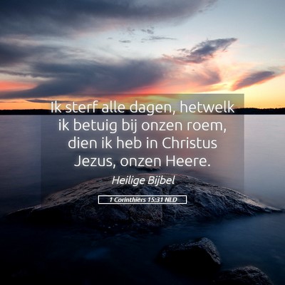 Picture 05 - 1 Corinthiërs 15:31 NLD - Ik sterf alle dagen, hetwelk ik betuig bij onzen - Bible Verse Picture