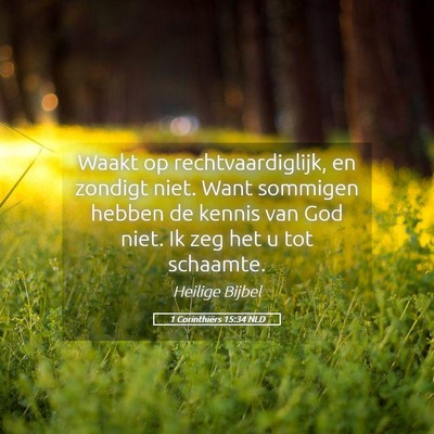 Picture 05 - 1 Corinthiërs 15:34 NLD - Waakt op rechtvaardiglijk, en zondigt niet. Want - Bible Verse Picture