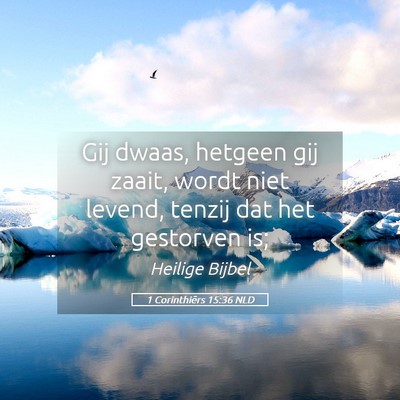 Picture 05 - 1 Corinthiërs 15:36 NLD - Gij dwaas, hetgeen gij zaait, wordt niet levend, - Bible Verse Picture