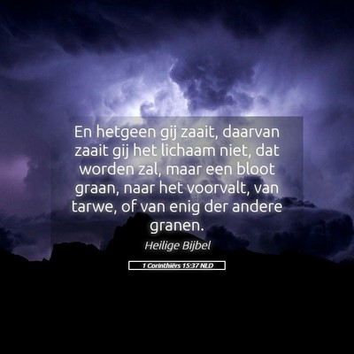 Picture 05 - 1 Corinthiërs 15:37 NLD - En hetgeen gij zaait, daarvan zaait gij het - Bible Verse Picture