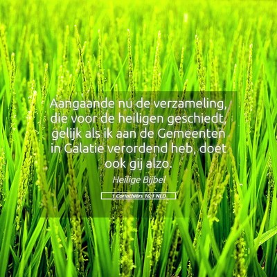 Picture 05 - 1 Corinthiërs 16:1 NLD - Aangaande nu de verzameling, die voor de heiligen - Bible Verse Picture
