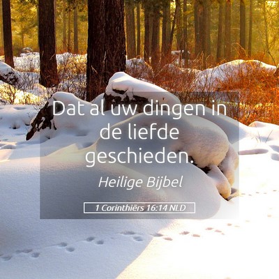 Picture 05 - 1 Corinthiërs 16:14 NLD - Dat al uw dingen in de liefde - Bible Verse Picture