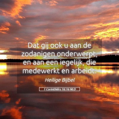 Picture 05 - 1 Corinthiërs 16:16 NLD - Dat gij ook u aan de zodanigen onderwerpt, en aan - Bible Verse Picture