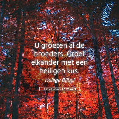 Picture 05 - 1 Corinthiërs 16:20 NLD - U groeten al de broeders. Groet elkander met een - Bible Verse Picture
