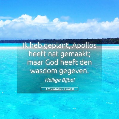 Picture 05 - 1 Corinthiërs 3:6 NLD - Ik heb geplant, Apollos heeft nat gemaakt; maar - Bible Verse Picture