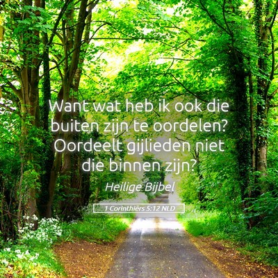 Picture 05 - 1 Corinthiërs 5:12 NLD - Want wat heb ik ook die buiten zijn te oordelen? - Bible Verse Picture