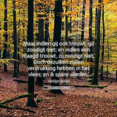 Picture 05 - 1 Corinthiërs 7:28 NLD - Maar indien gij ook trouwt, gij zondigt niet; en - Bible Verse Picture