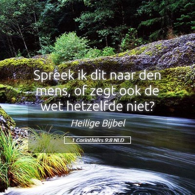 Picture 05 - 1 Corinthiërs 9:8 NLD - Spreek ik dit naar den mens, of zegt ook de wet - Bible Verse Picture