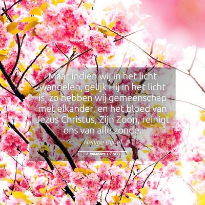 Picture 05 - 1 Johannes 1:7 NLD - Maar indien wij in het licht wandelen, gelijk Hij - Bible Verse Picture