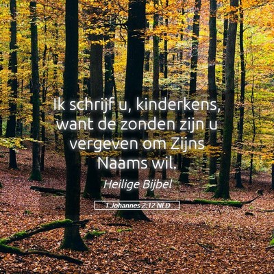 Picture 05 - 1 Johannes 2:12 NLD - Ik schrijf u, kinderkens, want de zonden zijn u - Bible Verse Picture