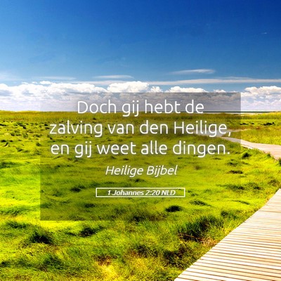 Picture 05 - 1 Johannes 2:20 NLD - Doch gij hebt de zalving van den Heilige, en gij - Bible Verse Picture