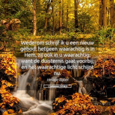 Picture 05 - 1 Johannes 2:8 NLD - Wederom schrijf ik u een nieuw gebod: hetgeen - Bible Verse Picture