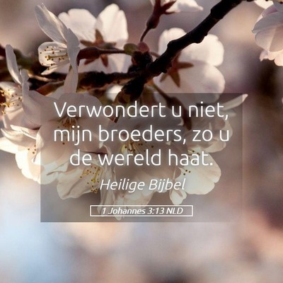 Picture 05 - 1 Johannes 3:13 NLD - Verwondert u niet, mijn broeders, zo u de wereld - Bible Verse Picture