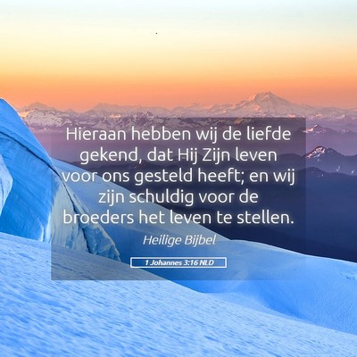 Picture 05 - 1 Johannes 3:16 NLD - Hieraan hebben wij de liefde gekend, dat Hij Zijn - Bible Verse Picture