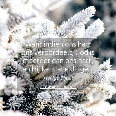 Picture 05 - 1 Johannes 3:20 NLD - Want indien ons hart ons veroordeelt, God is - Bible Verse Picture