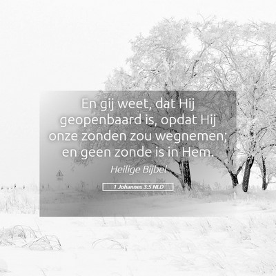 Picture 05 - 1 Johannes 3:5 NLD - En gij weet, dat Hij geopenbaard is, opdat Hij - Bible Verse Picture