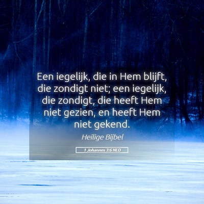 Picture 05 - 1 Johannes 3:6 NLD - Een iegelijk, die in Hem blijft, die zondigt - Bible Verse Picture