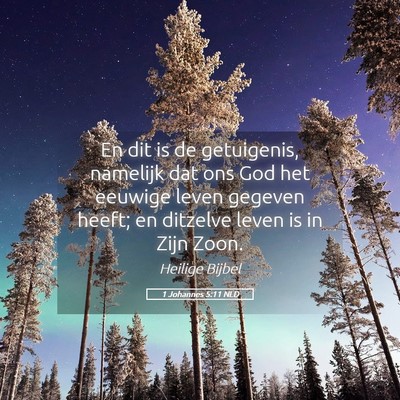 Picture 05 - 1 Johannes 5:11 NLD - En dit is de getuigenis, namelijk dat ons God het - Bible Verse Picture
