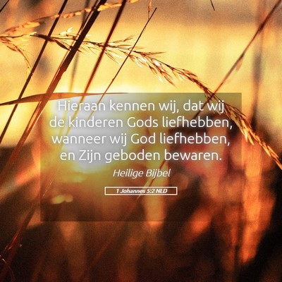 Picture 05 - 1 Johannes 5:2 NLD - Hieraan kennen wij, dat wij de kinderen Gods - Bible Verse Picture