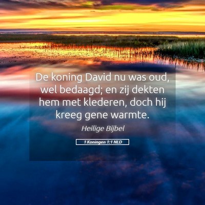 Picture 05 - 1 Koningen 1:1 NLD - De koning David nu was oud, wel bedaagd; en zij - Bible Verse Picture