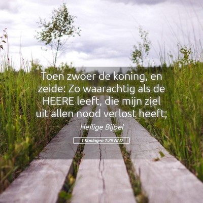 Picture 05 - 1 Koningen 1:29 NLD - Toen zwoer de koning, en zeide: Zo waarachtig als - Bible Verse Picture