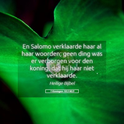 Picture 05 - 1 Koningen 10:3 NLD - En Salomo verklaarde haar al haar woorden; geen - Bible Verse Picture