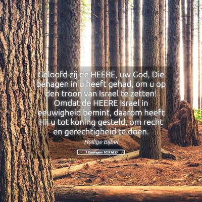 Picture 05 - 1 Koningen 10:9 NLD - Geloofd zij de HEERE, uw God, Die behagen in u - Bible Verse Picture